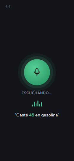 Tu primer gasto por voz